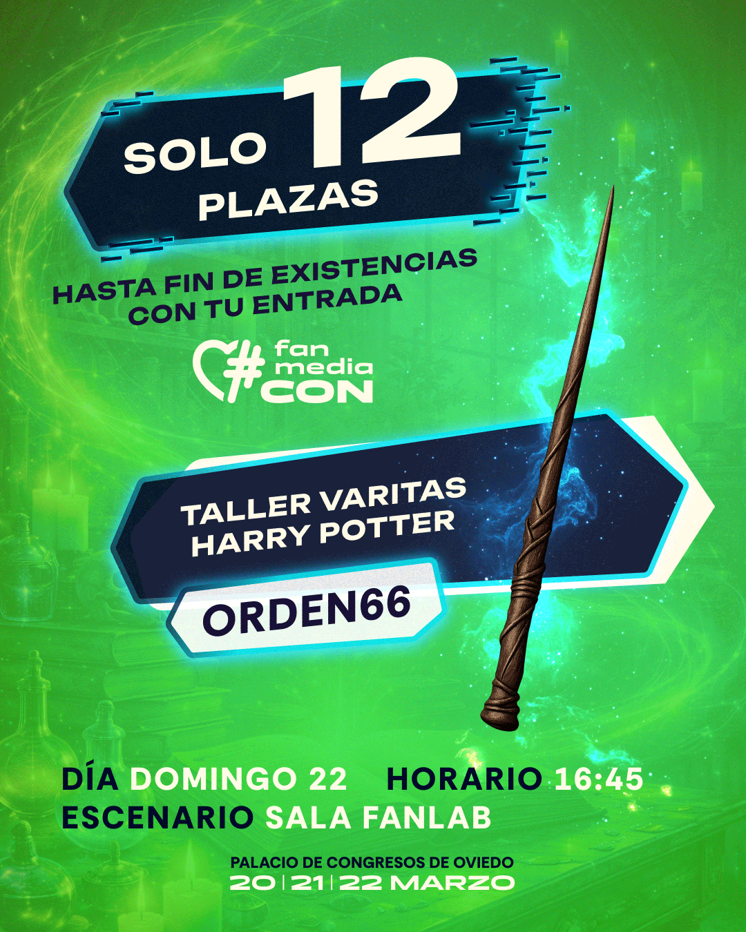 Taller de Varitas de Harry Potter